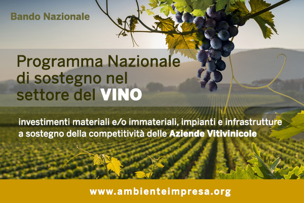 Studio Ambiente - Cagliari - Consulenza Aziendale